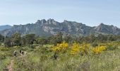 Trail Walking Roquebrune-sur-Argens - Roquebrune - MF de Palaison - Photo 1