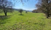 Tour Wandern Anthisnes - Anthines - AS03 - Boucle de Tolumont - Losange Bleu - Photo 15