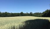 Tour Wandern Marnans - Marnan les lacs  - Photo 4