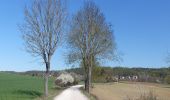 Excursión A pie Ensdorf - Jurasteig Asam-Schlaufe - Photo 8