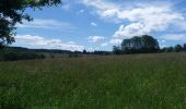 Randonnée Marche Theux - autour de Bronromme a travers campagne fagne et forêt  - Photo 11