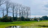 Excursión Senderismo Sint-Truiden - Les zones inondables de Bernissem à Saint-Trond - Photo 1