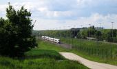 Tour Zu Fuß Hoegaarden - Dorps- en Kapellenwandeling - Photo 6