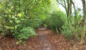 Tour Wandern La Bruyère - Rhisnes 121023 - Photo 13