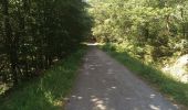 Trail Walking Jalhay - Pont de Belleheid - Photo 8