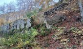 Tocht Stappen La Bastide - coll de palomere - Photo 6