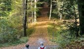 Tour Wandern Overijse - #221024 - Jesus-Eik, Arboretum, Kapucijnenbos - Photo 13