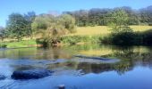 Tocht Stappen Bouillon - Rocher du pendu  - Photo 11