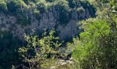 Tocht Stappen Berrias-et-Casteljau - Le bois de Païolive - Photo 8