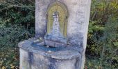 Percorso Marcia Montbrun-les-Bains - les fontaines de Montbrun et Savoillans - Photo 11
