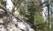 Tocht Stappen Die - Ausson - Montagne de Gavet (Diois) - Photo 10