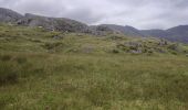 Excursión Senderismo West Cork - Hungry Hill - Photo 4