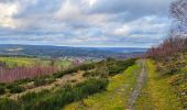 Tocht Stappen Vielsalm - Balade à Salmchateau - Photo 7