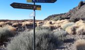 Trail Walking La Orotava - Canaries - Tenerife - Ascension du Teide - Photo 4