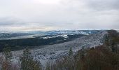 Randonnée A pied Horgen - Schnabellücke - Langnau Gattikon - Photo 1