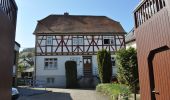 Tour Zu Fuß Hofheim am Taunus - Rundwanderweg Eichhorn - Photo 1