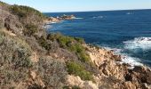 Randonnée Marche Ramatuelle - cap Camarat-golfe St Tropez-03-12-21 - Photo 9