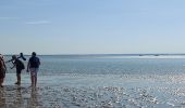 Tocht Stappen Le Crotoy - balade baie de somme - Photo 14
