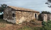 Tocht Stappen La Croix-Valmer - Cap Lardier Cap Taillat-24-01-224 - Photo 4