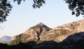 Percorso A piedi Dorgali - (SI Z14) Sa Barva – Monte Maccione - Photo 4