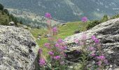 Tocht  Nendaz - 20240904 Siviez - Photo 5