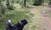 Trail Walking Habay - Le grand ruisseau  - Photo 6