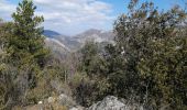 Excursión Senderismo Buis-les-Baronnies - le saint julien - Photo 5