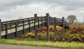 Tocht Stappen Nijlen - Nijlen Liers Lierre 23 km - Photo 16