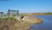 Trail Mountain bike La Faute-sur-Mer - La Faute ter - Photo 5