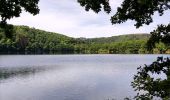 Tour Wandern Esch an der Sauer - Promenade au lac de la Haute-Sûre   - Photo 14