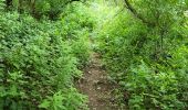 Trail Walking Bièvre - Naome 070724 - Photo 8