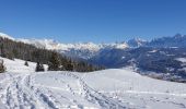 Excursión Raquetas de nieve Demi-Quartier - Montée chalet de la Vielle-Beauregard-la Ravine. Descente Fouettaz - Photo 2