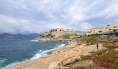 Trail Walking Calvi - Calvi Citadelle et plages - Photo 10