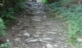 Tocht Stappen Golinhac - CC_Velay_BE_09_Golinhac_Conques-Rouergue_20070824 - Photo 1