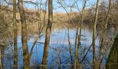 Tour Wandern Moselbrück - Pont A Mousson les étangs depuis le port fluvial - Photo 7