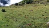 Randonnée Marche Estaing - Le lac d'Estaing - Photo 2