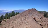 Tour Wandern El Paso - dag 3 La Palma  - Photo 6