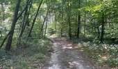 Randonnée Marche Coyolles - en Forêt de Retz_96_08_2025_autour de l'Enclave de Vauciennes - Photo 6