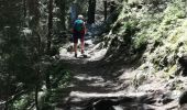 Trail Walking Chamonix-Mont-Blanc - CHAMONIX ... l'Arve depuis Argentiére.  - Photo 2