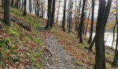 Tour Wandern Simmerath - Einruhr 25 km - Photo 15