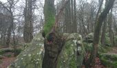 Percorso Marcia Champcueil - forêt du grand avaux 3 janvier 2023 - Photo 2