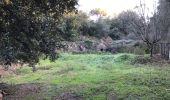 Trail On foot Correns - Correns - circuit-provence-verte-31 - Photo 2