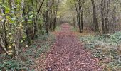 Randonnée Marche nordique Florenville - Herbeument 9km heen en terug  - Photo 10