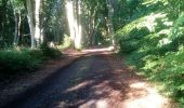 Trail Walking Seraing - seraing 16 08 2020 - Photo 1
