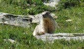 Tour Wandern Aussois - 2024 les refuges  d'Aussois  - Photo 1