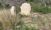 Excursión Senderismo La Croix-Valmer - Cap Lardier et Cap Taillat -  Boucle - Photo 6