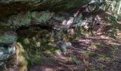 Trail Horseback riding Hinsbourg - 2019-10-11 Rando CVA Moderfeld vers Reipertswiller - Photo 2