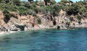 Excursión Senderismo Hyères - Presqu'île Giens Ouest-26-05-23 - Photo 3