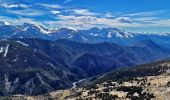 Tour Wandern Le Vernet - Sommet de Grisonnière via le Vernet - Photo 10