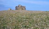 Excursión Senderismo Crozon - Boucle 18 km Morgat Pointe de Dinan - Photo 11